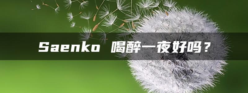 Saenko 喝醉一夜好吗？