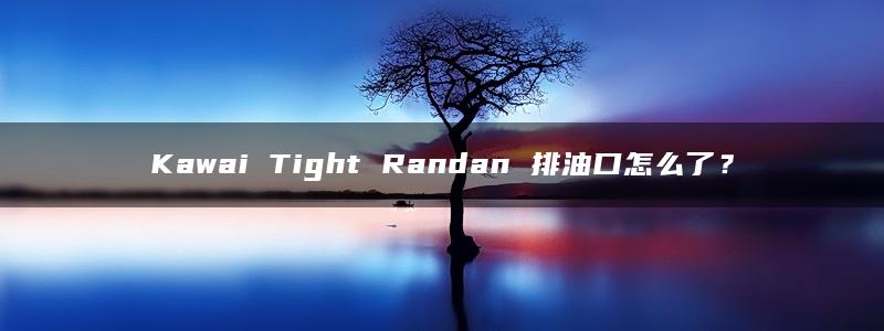 Kawai Tight Randan 排油口怎么了？