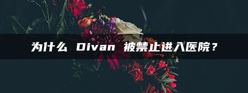 为什么 Divan 被禁止进入医院？