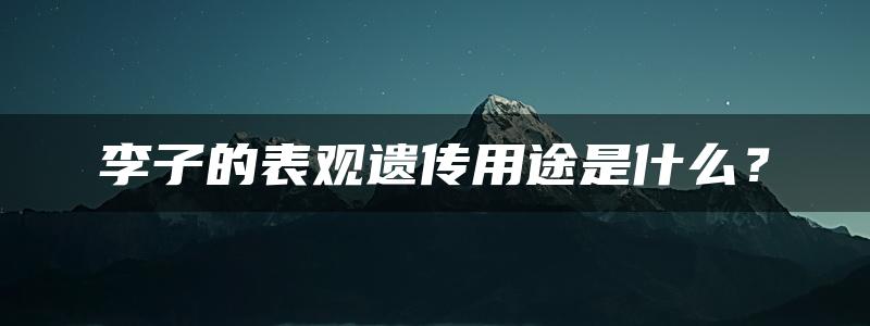 李子的表观遗传用途是什么？