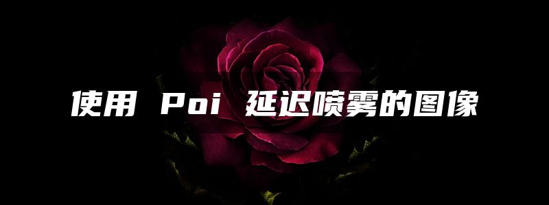 使用 Poi 延迟喷雾的图像