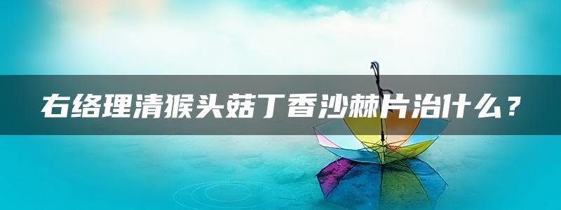 右络理清猴头菇丁香沙棘片治什么？