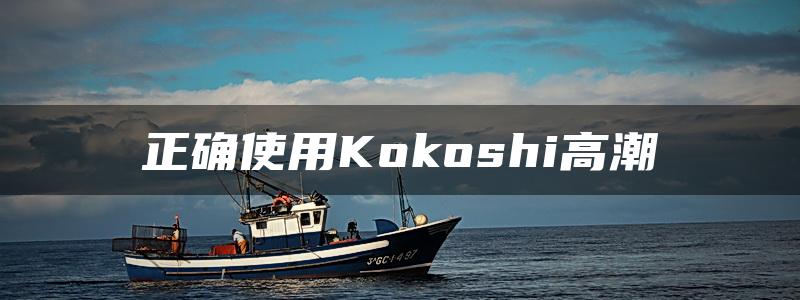 正确使用Kokoshi高潮