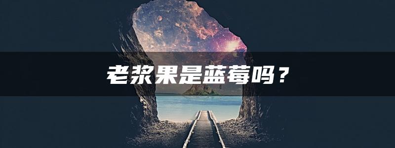 老浆果是蓝莓吗？