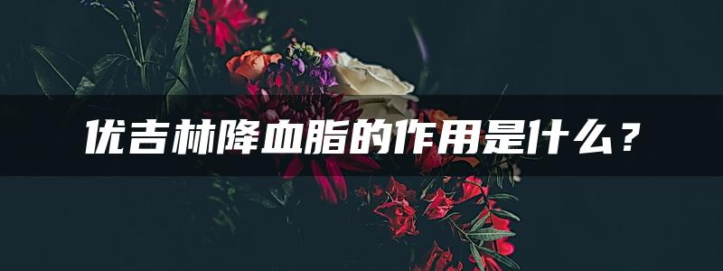 优吉林降血脂的作用是什么？