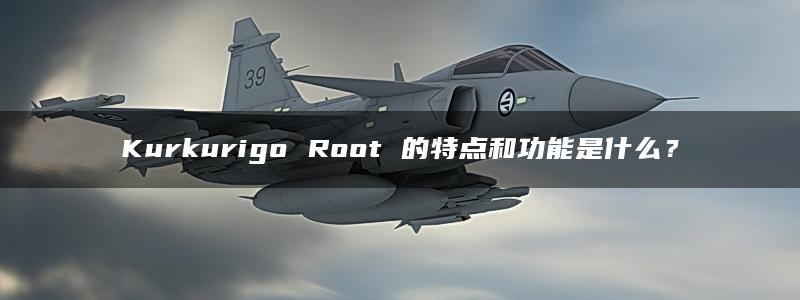 Kurkurigo Root 的特点和功能是什么？