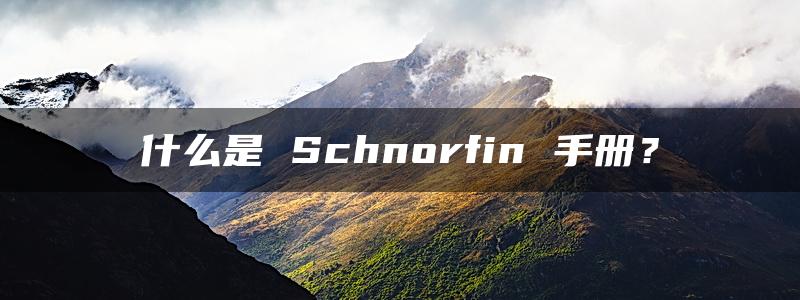 什么是 Schnorfin 手册？