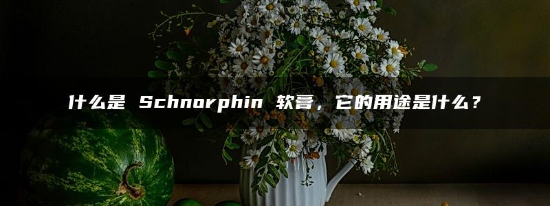 什么是 Schnorphin 软膏，它的用途是什么？