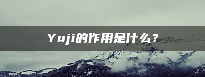 Yuji的作用是什么？