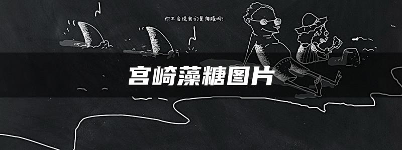 宫崎藻糖图片