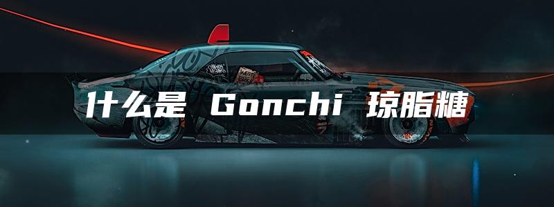 什么是 Gonchi 琼脂糖