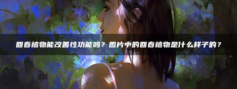 回春植物能改善性功能吗？图片中的回春植物是什么样子的？