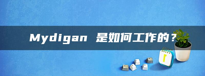 Mydigan 是如何工作的？