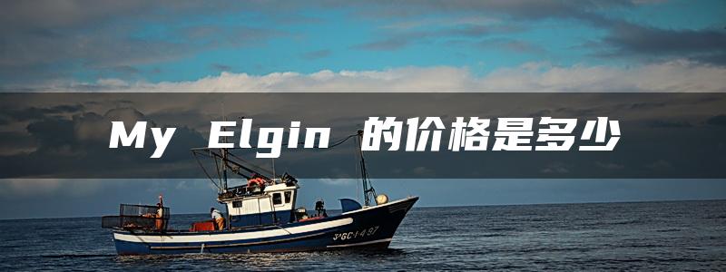 My Elgin 的价格是多少