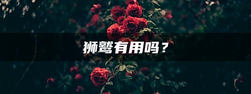 狮鹫有用吗？