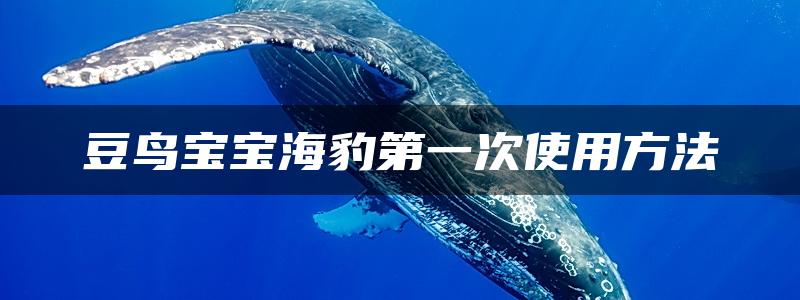 豆鸟宝宝海豹第一次使用方法