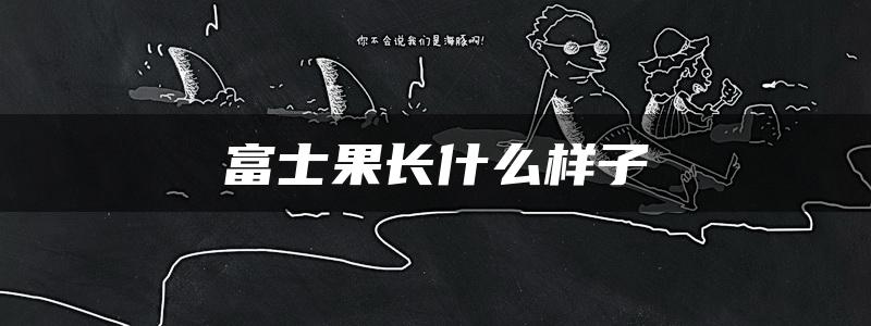 富士果长什么样子