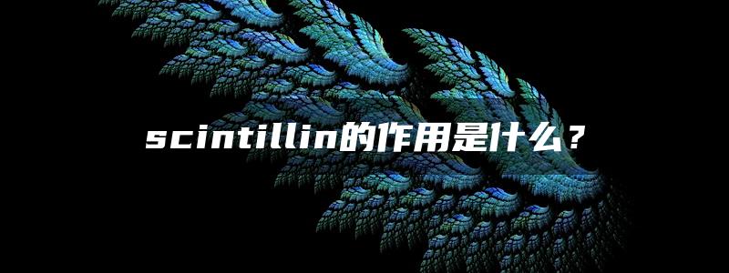 scintillin的作用是什么？