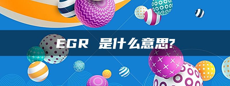 EGR 是什么意思?