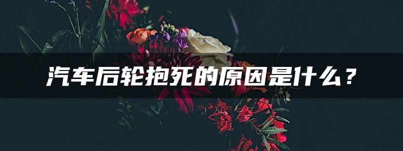 汽车后轮抱死的原因是什么？