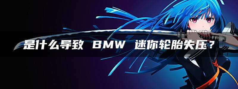 是什么导致 BMW 迷你轮胎失压？