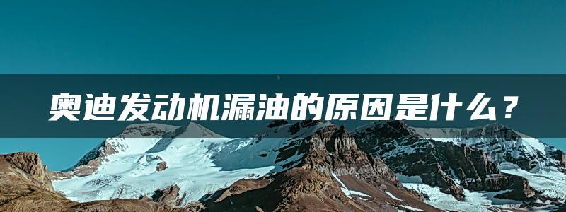 奥迪发动机漏油的原因是什么？