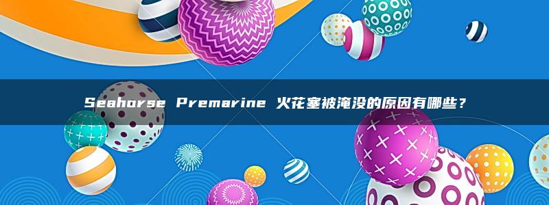 Seahorse Premarine 火花塞被淹没的原因有哪些？