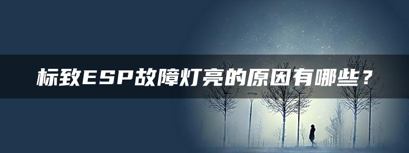 标致ESP故障灯亮的原因有哪些？