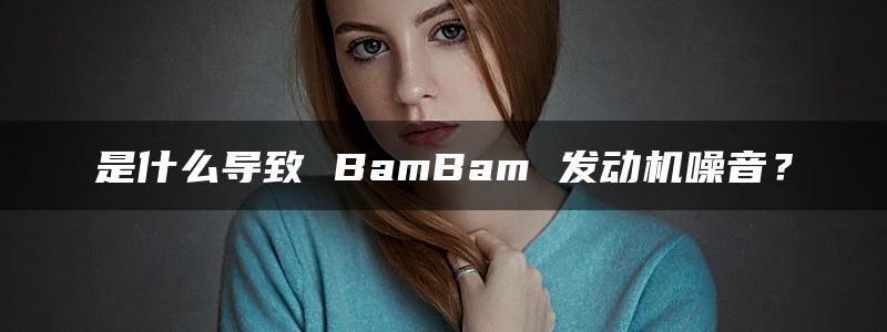 是什么导致 BamBam 发动机噪音？