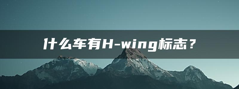 什么车有H-wing标志？