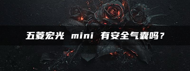 五菱宏光 mini 有安全气囊吗？