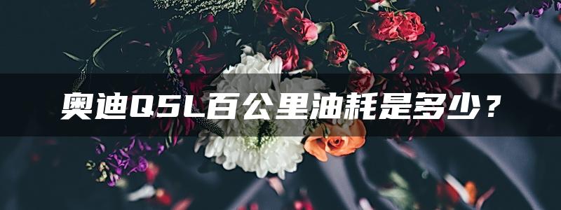 奥迪Q5L百公里油耗是多少？