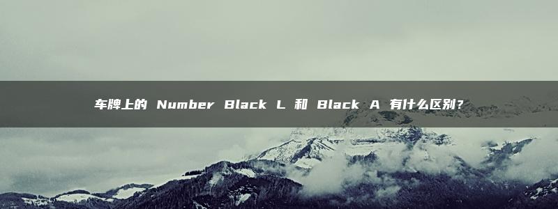 车牌上的 Number Black L 和 Black A 有什么区别？