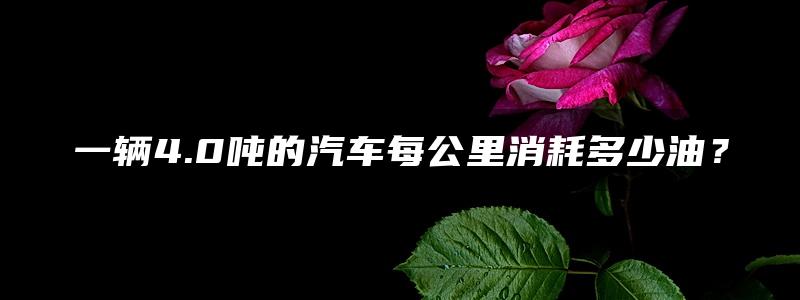 一辆4.0吨的汽车每公里消耗多少油？