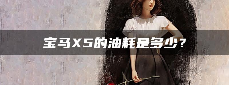 宝马X5的油耗是多少？