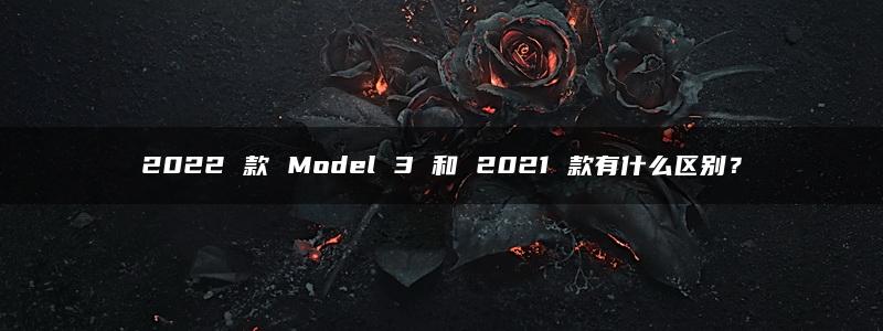 2022 款 Model 3 和 2021 款有什么区别？