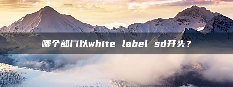 哪个部门以white label sd开头？