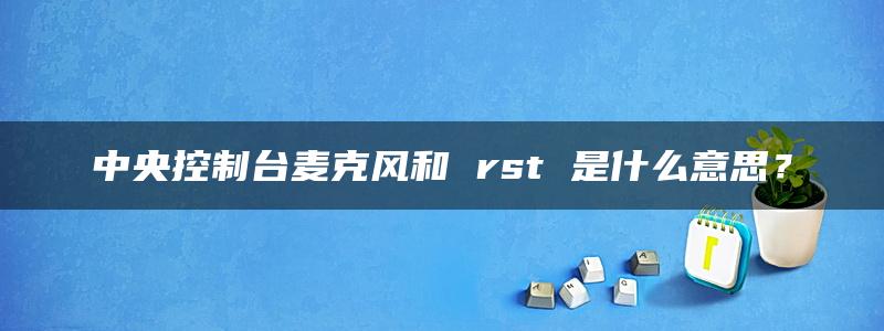 中央控制台麦克风和 rst 是什么意思？