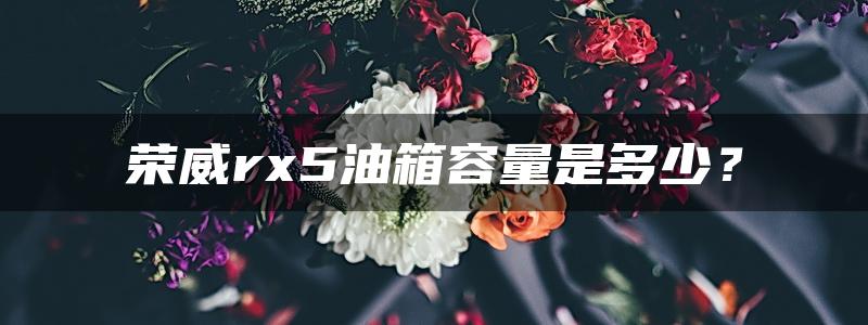 荣威rx5油箱容量是多少？