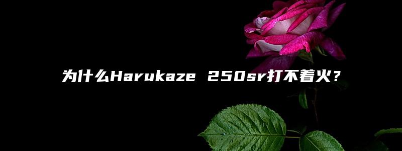 为什么Harukaze 250sr打不着火？