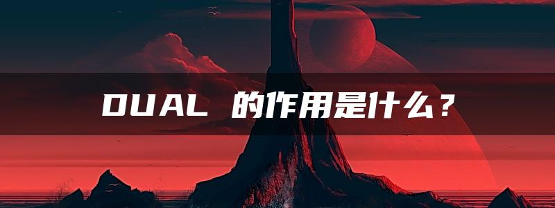 DUAL 的作用是什么？