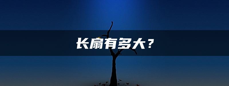 长扇有多大？