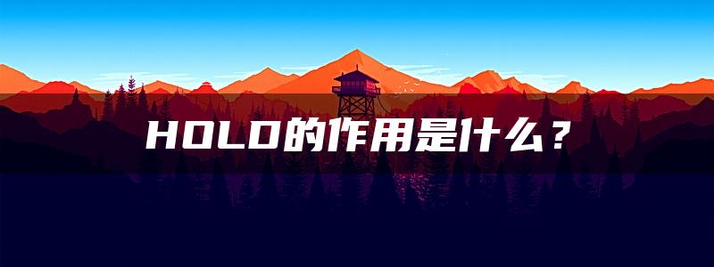 HOLD的作用是什么？