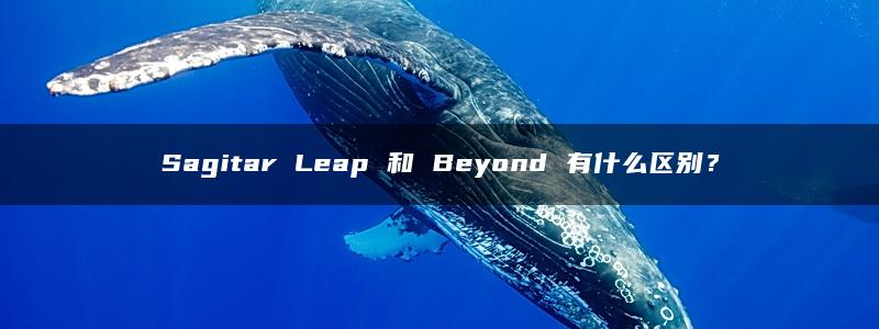 Sagitar Leap 和 Beyond 有什么区别？