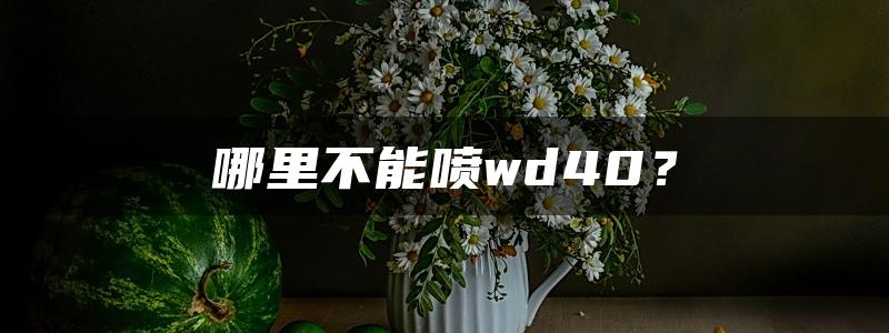 哪里不能喷wd40？