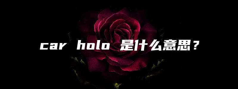 car holo 是什么意思？