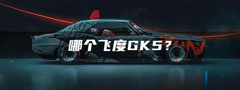 哪个飞度GK5？