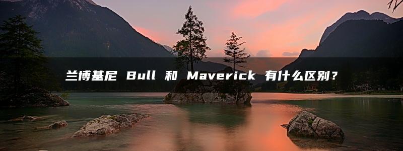 兰博基尼 Bull 和 Maverick 有什么区别？