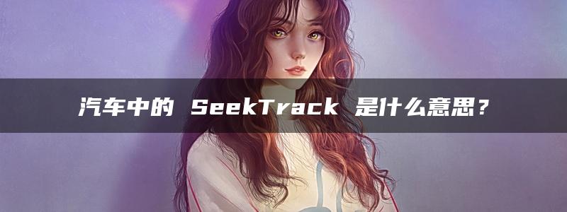 汽车中的 SeekTrack 是什么意思？