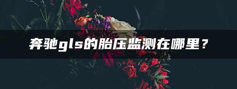 奔驰gls的胎压监测在哪里？